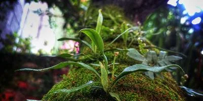 消耗品准备